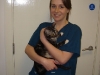 Helen McCrorie