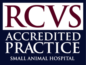 RCVS Small Animal Hospital