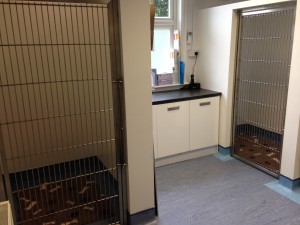 walk in kennels