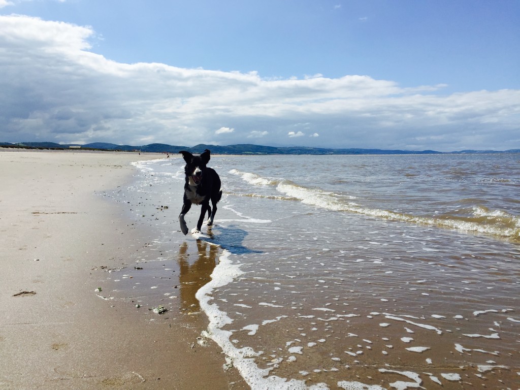 pepper in the sea