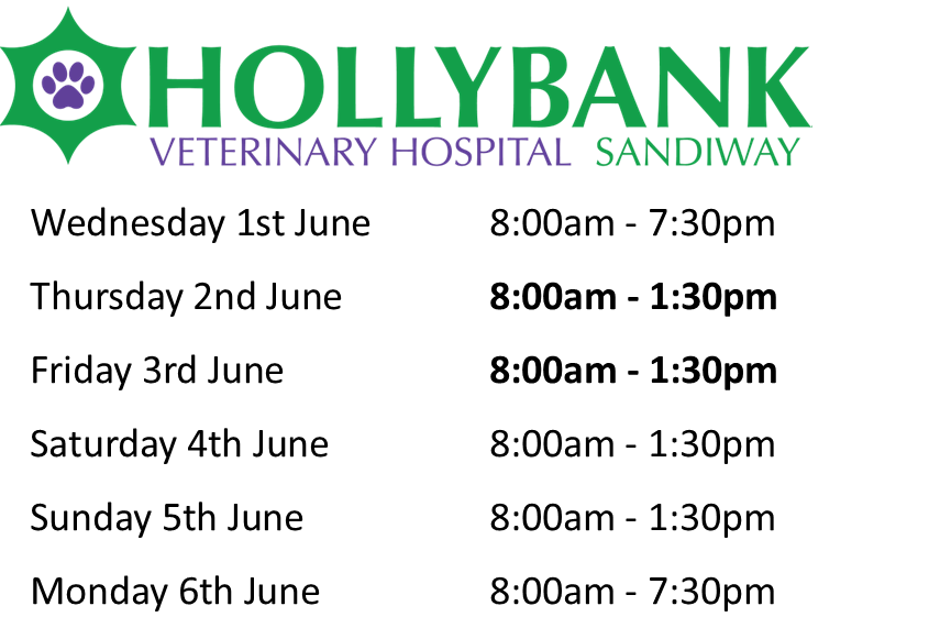 Independent Small Animal Hospital